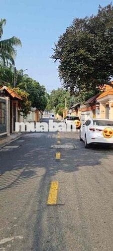 Lô đất Biệt Thự giá tốt chỉ 50 triệu/m2 đường Nguyễn Hới Vũng Tàu