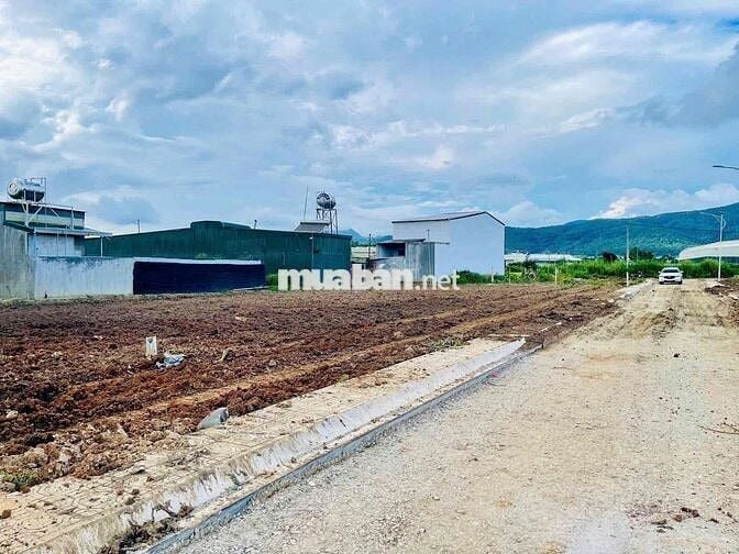 🌿 Cơ hội vàng sở hữu lô đất 447m² ngay thị trấn Thạnh Mỹ – trung tâm Đ