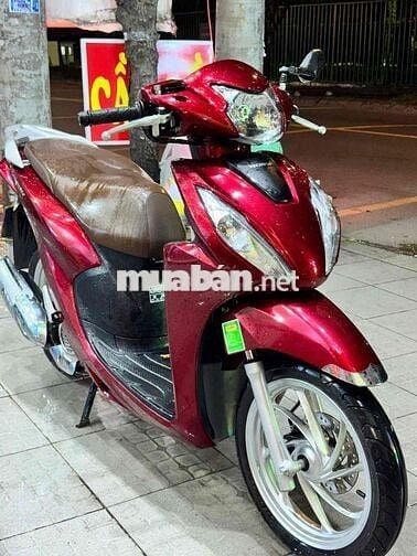 xe Vision 2024