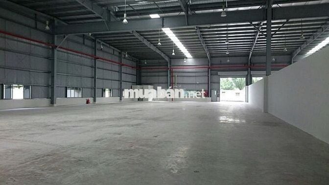 Cho Thuê Kho Mới Đẹp 1000M2 Chứa Hàng Mặt Tiền Bình Chánh Giá Rẻ