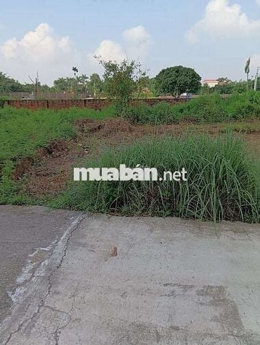 Bán Đất - Phú Nghĩa(Minh phú) - 91M2 - 1,5 tỷ - Đường Rộng