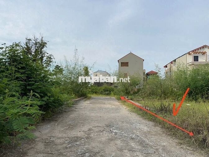 Bán Gấp Lô Đất Đẹp, Mặt Tiền Rộng Hơn 6m - Tiềm Năng X2 Tài Sản Tại
