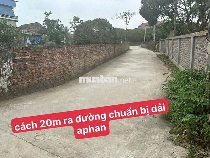 🏕️ BÁN ĐẤT -chủ cần tiền bán gấp 61m - Nguyên Hoà - Phù Cừ -  Hưng Yên