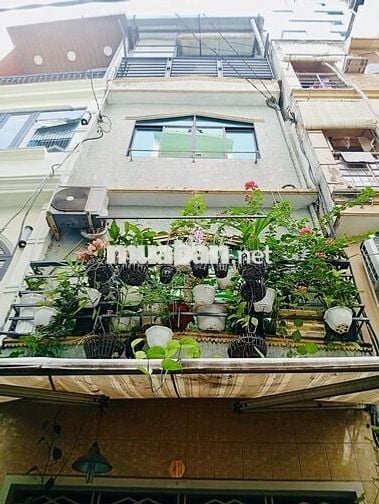 Phòng/nhà nguyên căn cần cho thuê