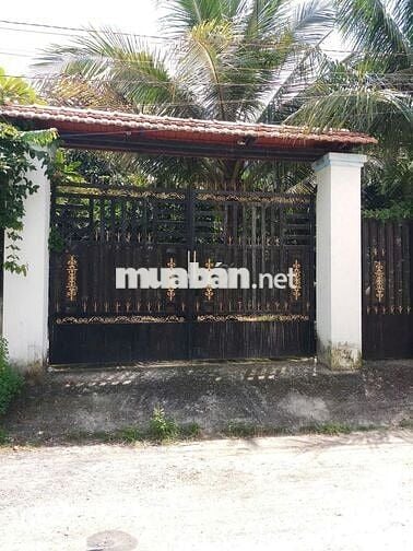 ĐẤT FULL THỔ CƯ chính chủ - Phước Hậu, Cần Giuộc, Long An