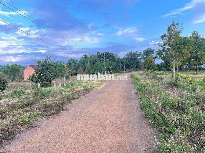 7.4 sào - Gần 50m mặt đường sẵn 400 thổ cư ngay trung tâm Lộc Đức