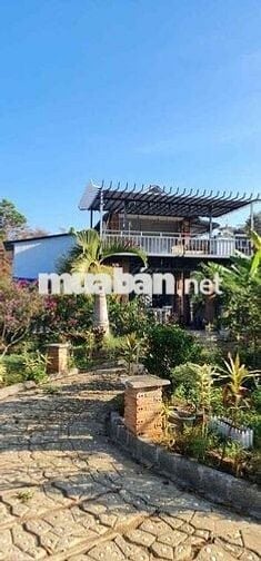 chính chủ cần bán gấp lô đất 2000m2 đã đầu tư thành homestay