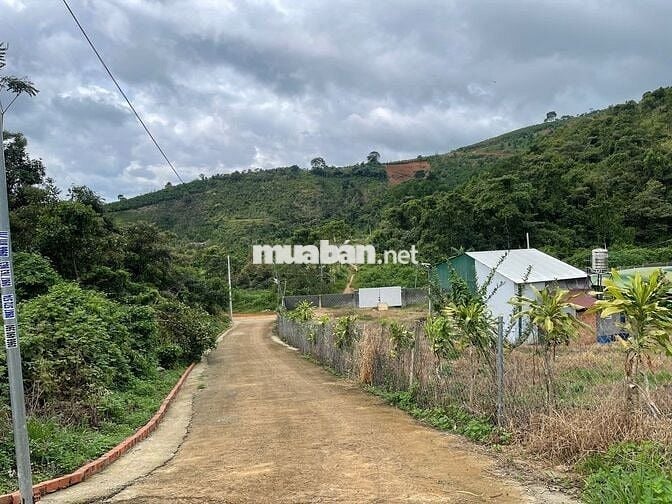 4031m2 - 35m mặt đường Thôn 16 Lộc Thành - Bảo Lâm ngay ĐồI Mây