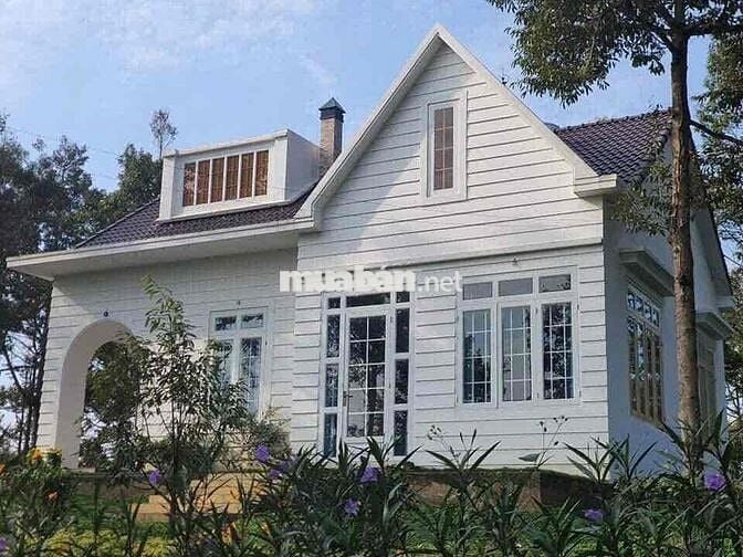 Nhà vườn sầu riêng - Bảo Lộc - DT 7313m2 (43mx183m) sẵn 400 thổ cư
