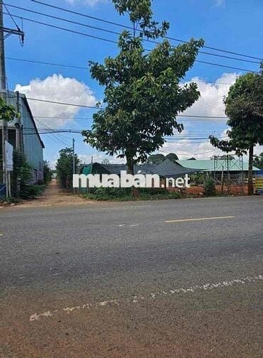 Đường Mỹ Xuân Ngãi Giao-Láng Lớn