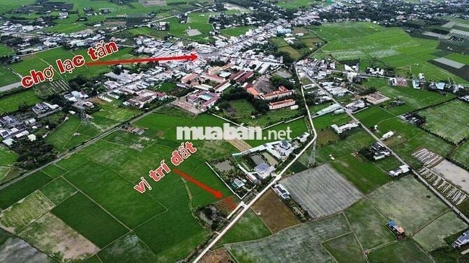 116mv THỔ ,ĐƯỜNG ÔTÔ TRƯỚC ĐẤT , NGAY CHỢ LẠC TẤN ,TÂN TRỤ