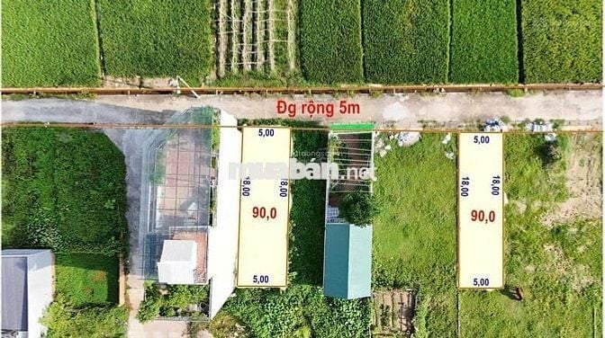 BÁN ĐẤT ĐẤU GIÁ THỔ CƯ SẴN SỔ GIÁ TỐT TẠI ĐẠI BẰNG-NGUYÊN KHÊ