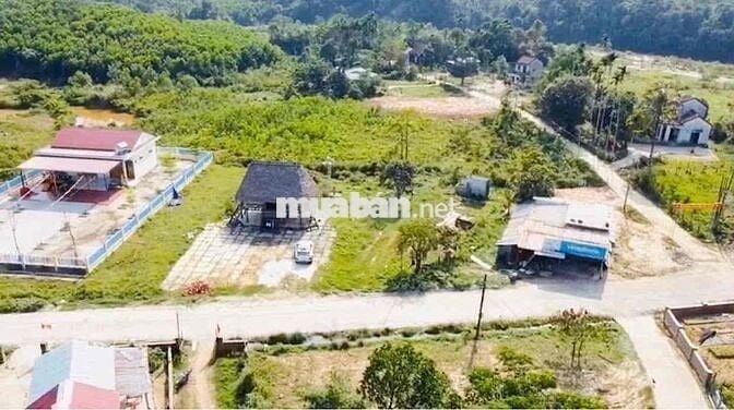 Sở hữu ngay mảnh vườn diện tích 340m2 đất ONT với chỉ 590 triệu