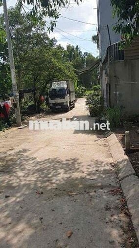 Chính chủ bán đất full thổ cư hẻm xe tải Trần Văn Giàu Bình Chánh