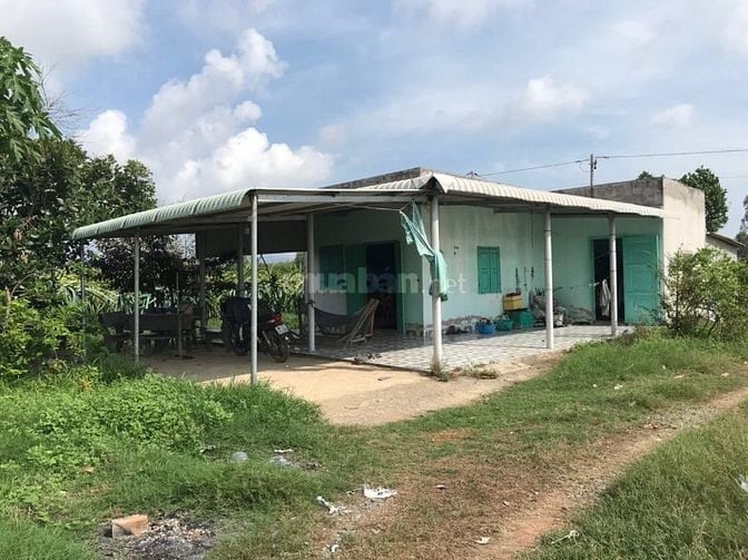 BÁN ĐẤT TRỒNG THANH LONG CHÍNH CHỦ – HÀM CƯỜNG, HÀM THUẬN NAM, BÌNH TH