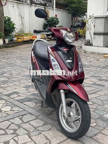 Tay ga Candy 50cc cho học sinh k cần bằng lái