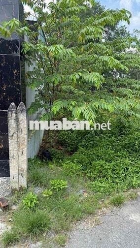 144m2 đất đường nhựa thông giá rẻ