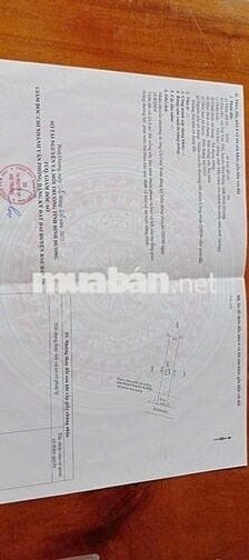 Loaloa hàng ngợp từ 900t hạ còn 655t rẻ vô địch ko có lô thứ 2 đâu ạ