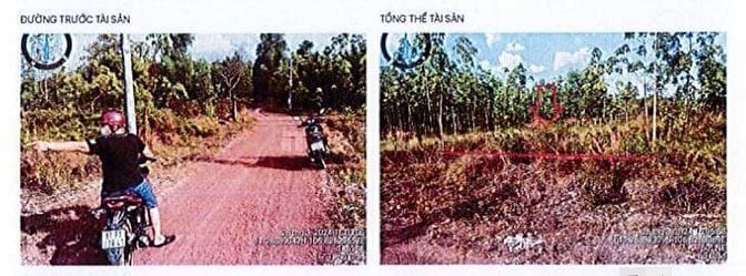 Đấu giá tài sản ngân hàng quốc tế Việt Nam tại Phước Vĩnh, Phú Giáo