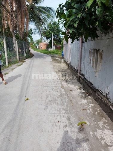 Bán nhanh giá tốt đất đẹp Bình Mỹ Củ Chi