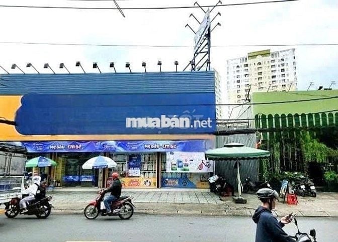 NGUYÊN CĂN TRỐNG SUỐT TÂN PHÚ KD TỰ DO ( 10,5 X 20)