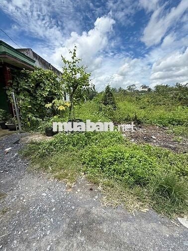 Cần bán 106m2 giá 2,95 tỷ cách chợ Bình Chánh 1km