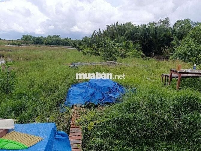 Bán đất nền đường bà xán xã Bình Khánh huyện cần giờ
