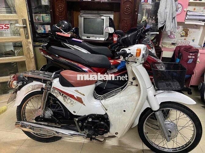 Cup 50cc