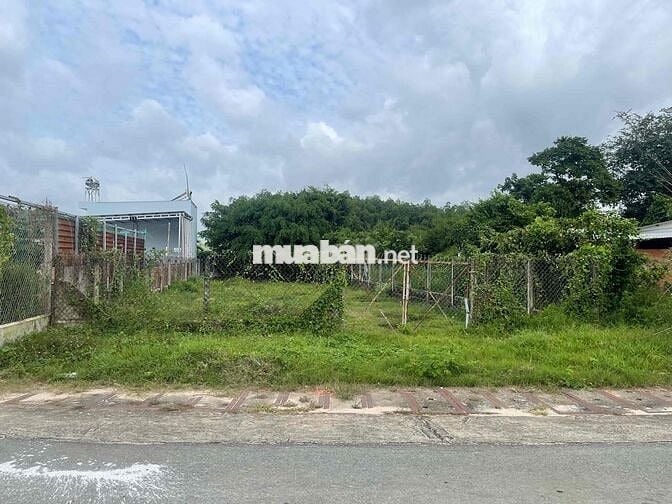 GẤP CHO LÔ ĐẤT ĐẸP TẠI THÁI MỸ. 305M2 GIÁ TỐT CHO KHÁCH THIỆN CHÍ. SHR