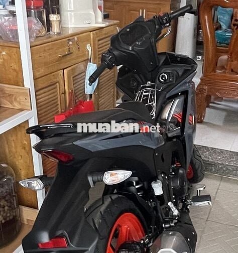 Ex 155 2022 xám xi măng 99%