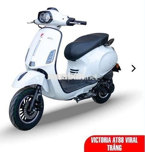 🔥 Góp 0đ🔥 Victoria Viral 50cc, KHÔNG CẦN BẰNG LÁI