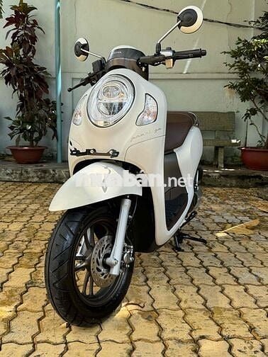 Scoopy 7/2024 bstp mình đứng tên cavet cần bán