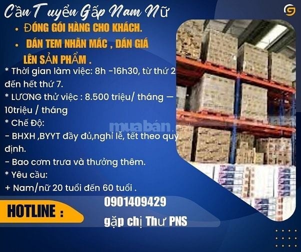 CẦN GẤP 03 NAM / NỮ ĐÓNG GÓI HÀNG - DÁN TEM 