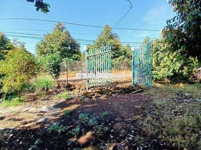 👉 Không đọc tới cuối là tiếc thật đó 😅