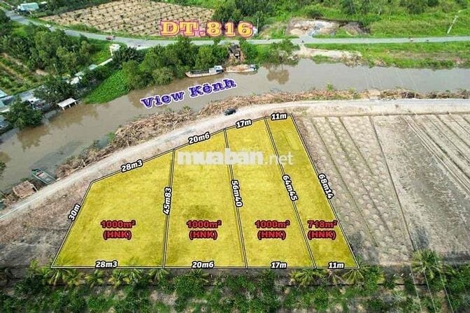 đất vườn đường xe tải mặt tiền kênh 816 Bình Đức Long An