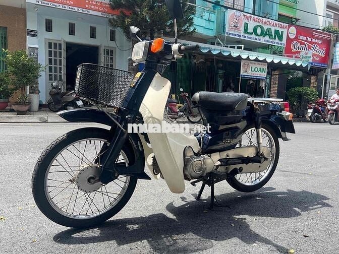 Cup 81 50cc ( cho học sinh đi học )