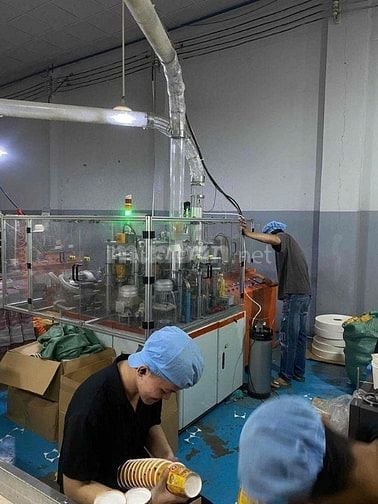 TUYỂN GẤP LĐPT LÀM LY GIẤY, TÔ GIẤY, THỜI GIAN THEO CA LINH HOẠT