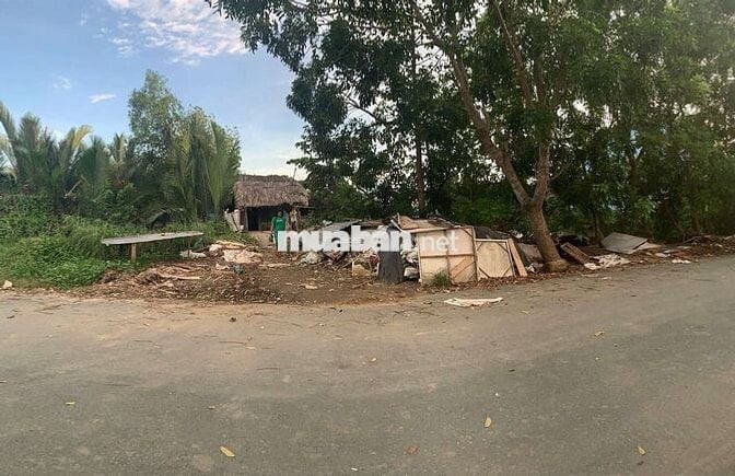 Cần bán đất nông nghiệp mặt tiền đường  Nghĩa trang Nhơn Đức LVL