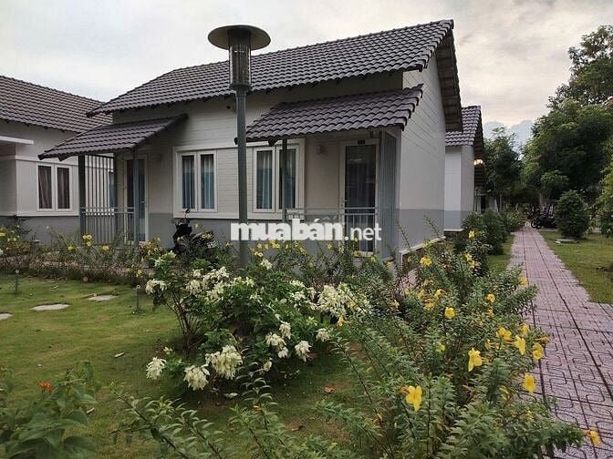 CHO THUÊ CĂN HỘ MINI & VILLA SÂN VƯỜN – TIAMO FULL NỘI THẤT CHỈ 4.5TR