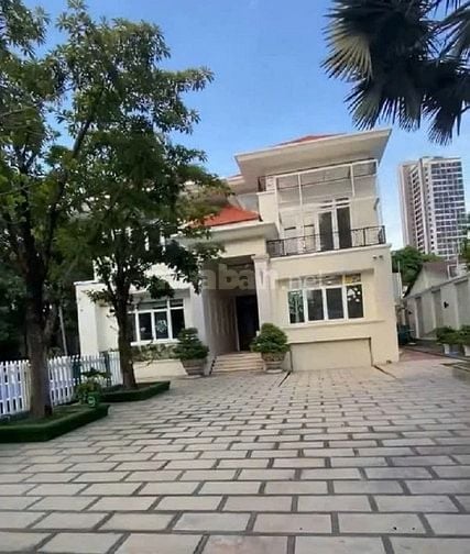 Cho Thuê Biệt Thự Mặt Tiền : Trần Văn Sắc, Phường Thảo Điền, Quận 2