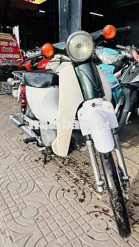 cub 50 đèn tròn đời mới có đề