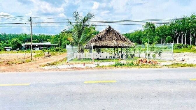 Đất nền 250m2, Mặt tiền DT750, xã Long Hóa, TP HCM (Dầu Tiếng, BD cũ)