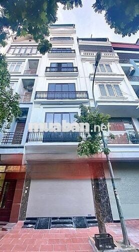 DỊCH VỤ VẠN PHÚC - 7 TẦNG THANG MÁY - PHÂN LÔ VỈA HÈ