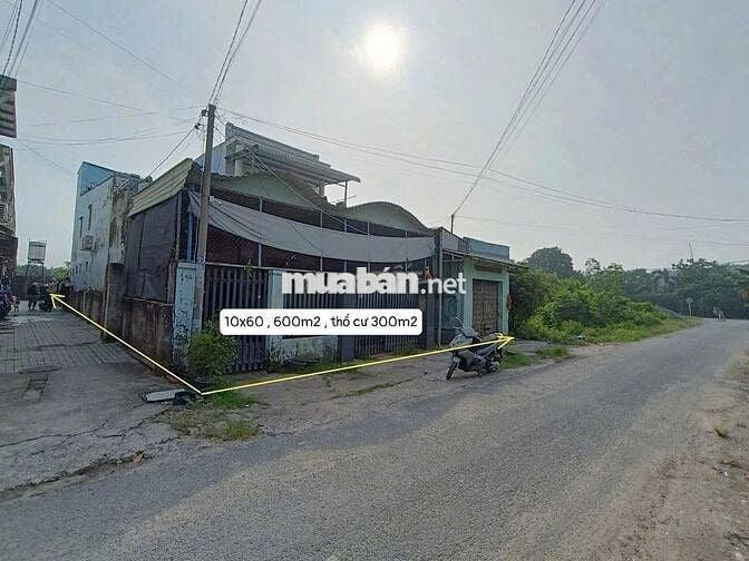 Bán 2 Căn Nhà Mặt Tiền+Dãy Trọ: 600m2 - Trung Lập Thượng. Giá 4 tỷ 500