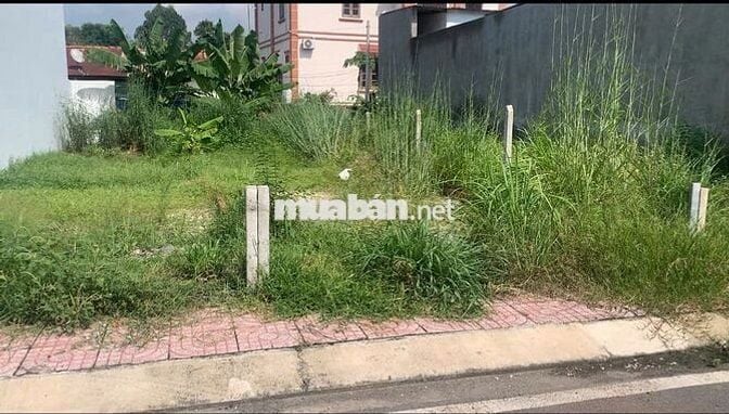 Xoay sở công việc GĐ cần bán miếng đấ t200m2Phạm Văn Chèo, TT Củ Chi