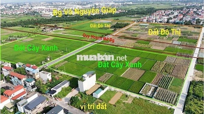 Bán đất ĐẤU GIÁ – BÌA LÀNG- Đại Bằng Nguyên Khê, Đông Anh, Hà nội