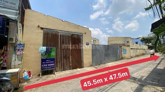 Bán đất đường số 9 phường Linh Tây gần chợ Thủ Đức (2.156m2) 50 tr/m2