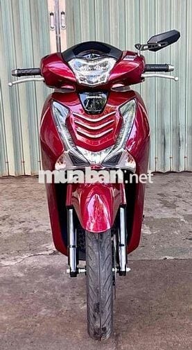 SH 150/2019 bao kí giấy