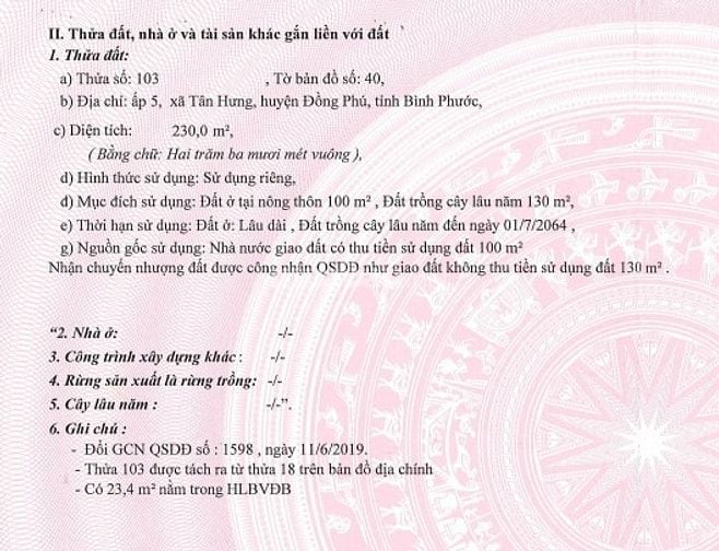 BÁN ĐẤU GIÁ TS MSB L2_XÃ TÂN HƯNG, ĐỒNG PHÚ, BÌNH PHƯỚC