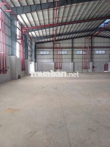 CHO THUÊ NHÀ XƯỞNG 1200M2 HOÁ CHẤT KCN XUYÊN Á – MỸ HẠNH LONG AN